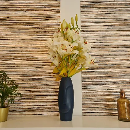 Kyriad Sud - A709 3*